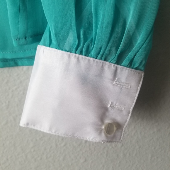 Jane shirt. Sheer button down Top . - Picture 6 of 7